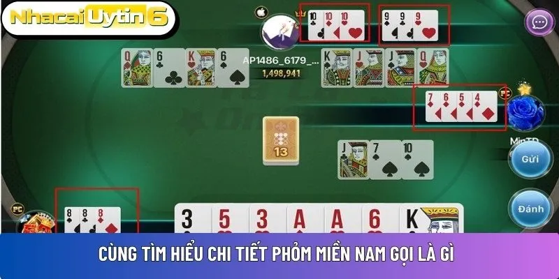 Cùng tìm hiểu chi tiết Phỏm miền Nam gọi là gì